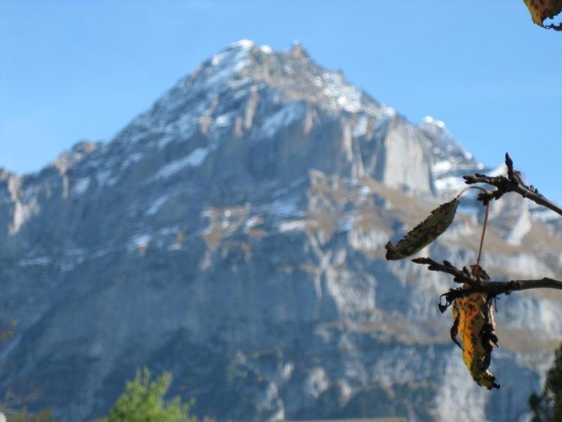 Hotel Gletschertal Grindelwald Zewnętrze zdjęcie